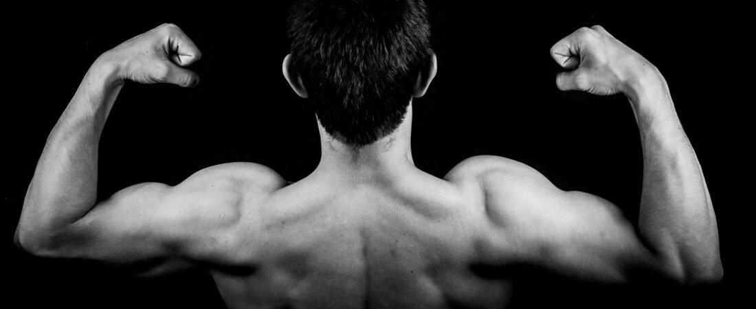 💪 Entrenamiento y Nutrición Fitness para la Hipertrofia y Estética: ¿vale la pena?